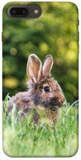 Чехол на Apple iPhone 7 plus / 8 plus Кролики фото 1 из 1