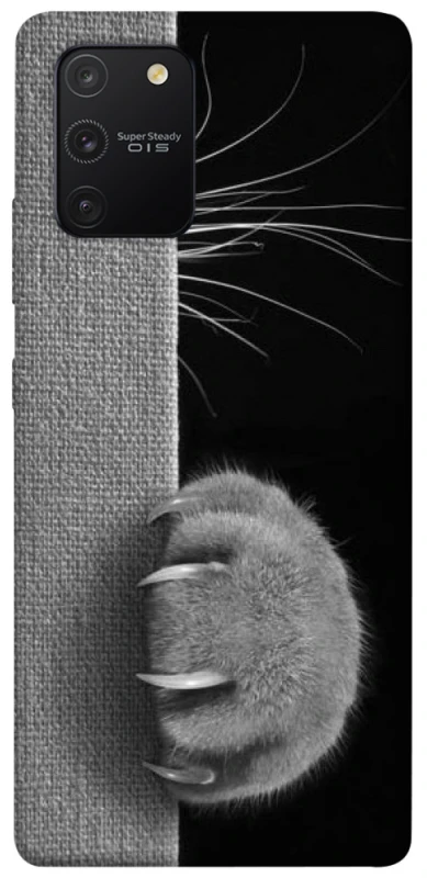 Чехол на Samsung Galaxy S10 Lite Spy Cat фото 1 из 1