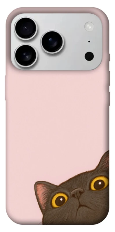 Чохол на Apple iPhone 17 Pro Max (6.9") Peeping cat фото 1 з 1
