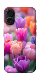 Чехол на Apple iPhone 16 Поле тюльпанов фото 1 из 1