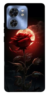 Чехол на Motorola Edge 40 Красная роза фото 1 из 1