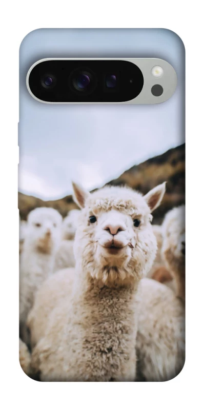 Чохол на Google Pixel 9 Pro XL Лама фото 1 з 1