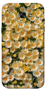 Чохол на Samsung A720 Galaxy A7 (2017) Camomile фото 1 з 1