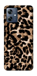 Чохол на Motorola Moto G54 Power Leopard Skin v4 фото 1 з 1