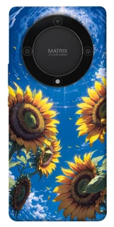 Чохол на Huawei Magic5 Lite Sunflowers фото 1 з 1