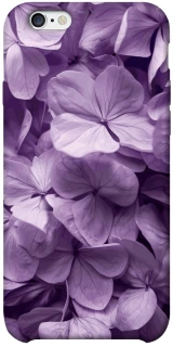 Чехол на Apple iPhone 6/6s plus (5.5") Floral Symphony фото 1 из 1