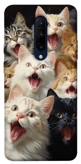 Чохол на OnePlus 7 Pro Коти фото 1 з 1