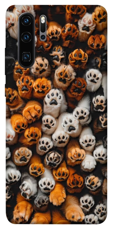 Чехол на Huawei P30 Pro Сat paws фото 1 из 1