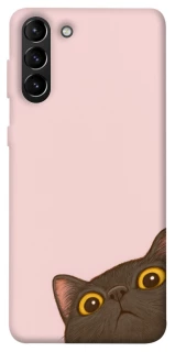 Чехол на Samsung Galaxy S21+ Peeping cat фото 1 из 1