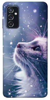 Чехол на Samsung Galaxy M52 Snow cat фото 1 из 1