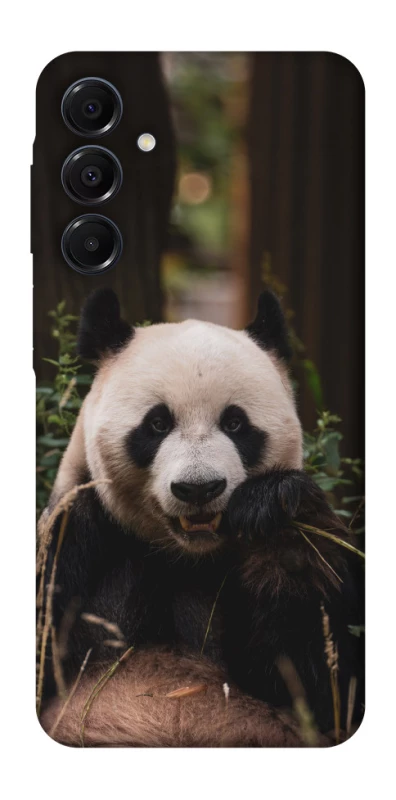 Чехол на Samsung Galaxy A16 4G/5G Панда фото 1 из 1