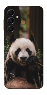 Чехол на Samsung Galaxy A16 4G/5G Панда фото 1 из 1