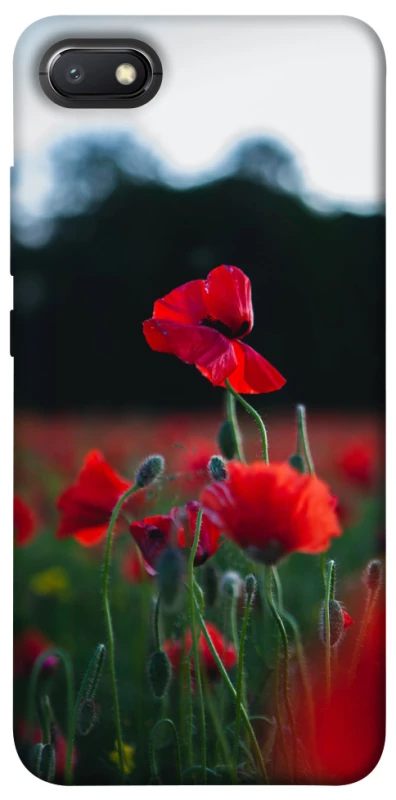 Чехол на Xiaomi Redmi 6A Мак фото 1 из 1