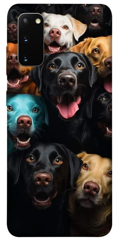 Чехол на Samsung Galaxy S20 Собаки фото 1 из 1