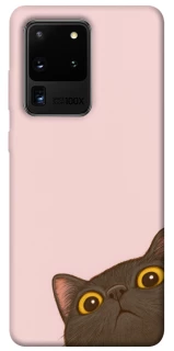 Чехол на Samsung Galaxy S20 Ultra Peeping cat фото 1 из 1