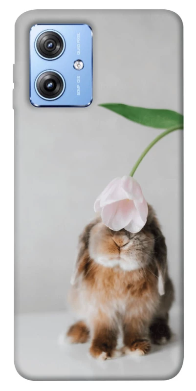 Чохол на Motorola Moto G84 Bunny фото 1 з 1