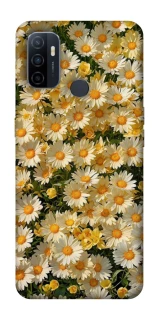 Чохол на Oppo A53 / A32 / A33 Camomile фото 1 Чохол на Oppo A53 / A32 / A33 Camomile фото 1 з 1