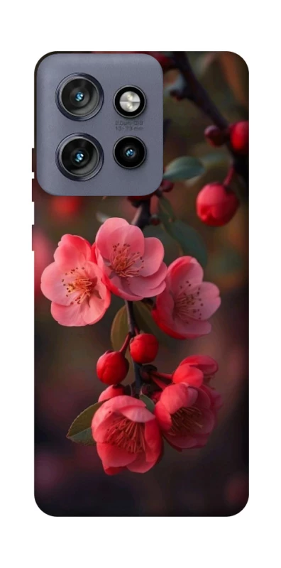 Чехол на Motorola Edge 50 Neo Flowers v28 фото 1 из 1