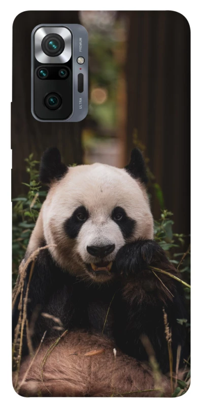 Чохол на Xiaomi Redmi Note 10 Pro Панда фото 1 з 1