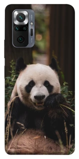 Чехол на Xiaomi Redmi Note 10 Pro Панда фото 1 из 1
