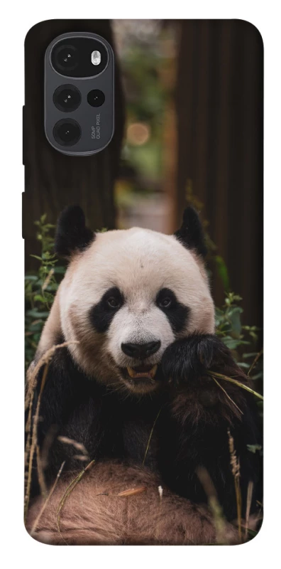 Чехол на Motorola Moto G22 Панда фото 1 из 1