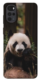 Чехол на Motorola Moto G22 Панда фото 1 из 1