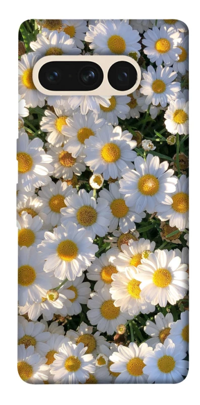 Чехол на Google Pixel 7 Pro Поле ромашек фото 1 из 1