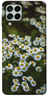 Чехол на Samsung Galaxy M53 5G Ромашки v13 фото 1 из 1
