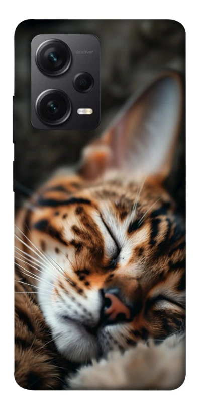 Чохол на Xiaomi Redmi Note 12 Pro 5G Cat paws фото 1 з 1