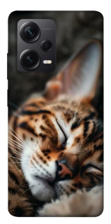 Чохол на Xiaomi Redmi Note 12 Pro+ 5G Cat paws фото 1 з 1