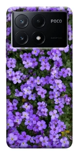 Чохол на Xiaomi Poco X6 Flowers v17 фото 1 з 1