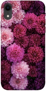 Чохол на Apple iPhone XR (6.1") Garden1 фото 1 з 1