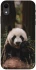 Чехол на Apple iPhone XR (6.1") Панда фото 1 из 1