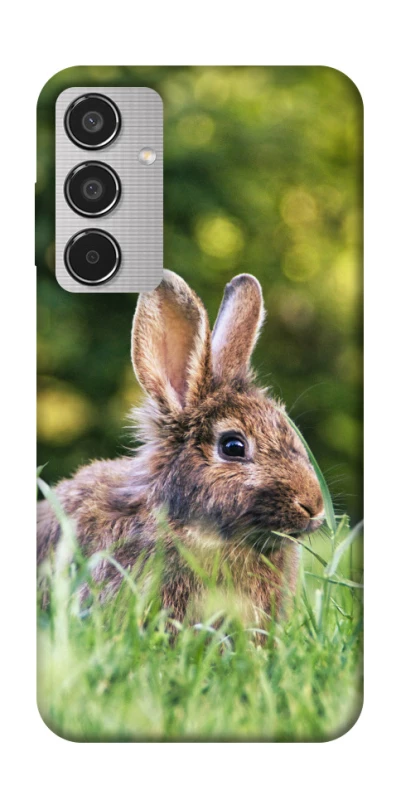 Чехол на Samsung Galaxy M35 Кролики фото 1 из 1