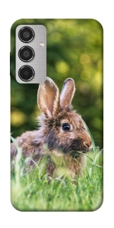 Чехол на Samsung Galaxy M35 Кролики фото 1 из 1