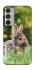 Чехол на Samsung Galaxy M35 Кролики фото 1 из 1