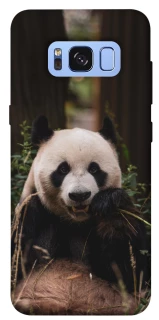 Чохол на Samsung G950 Galaxy S8 Панда фото 1 з 1
