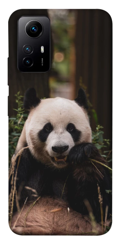Чехол на Xiaomi Redmi Note 12S Панда фото 1 из 1