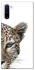 Чохол на Samsung Galaxy Note 10 Leopard Art v2 фото 1 з 1