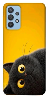 Чохол на Samsung Galaxy M32 This is Cat фото 1 з 1