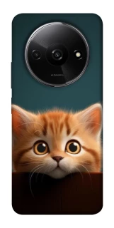 Чохол на Xiaomi Redmi A3 Чохол Кошеня фото 1 з 1