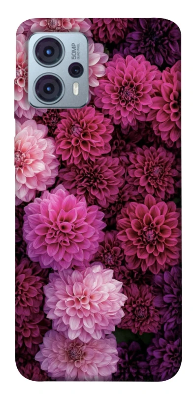 Чохол на Motorola Moto G23 Garden1 фото 1 з 1