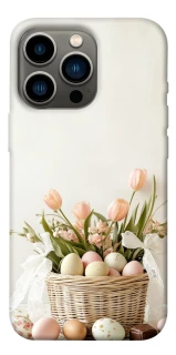 Чехол на Apple iPhone 13 Pro (6.1") Easter ver.4 фото 1 из 1