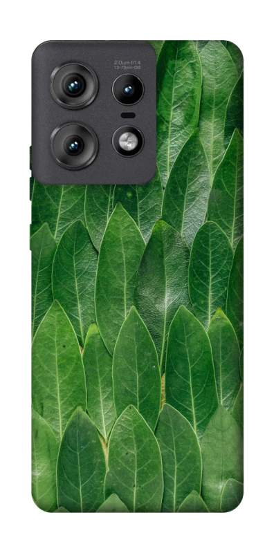 Чохол на Motorola Edge 50 Pro Листя фото 1 з 1