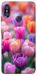 Чохол на Xiaomi Redmi Note 5 Pro / Note 5 (AI Dual Camera) Тюльпанове поле фото 1 з 1