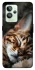 Чохол на Realme GT2 Cat paws фото 1 з 1