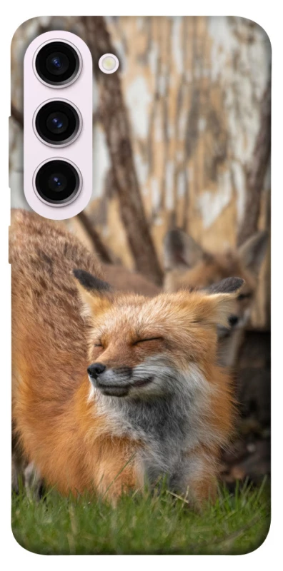 Чехол на Samsung Galaxy S23+ Лиса фото 1 из 1