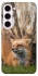 Чехол на Samsung Galaxy S23+ Лиса фото 1 из 1