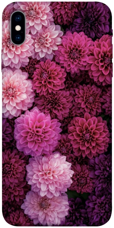 Чехол на Apple iPhone X (5.8") Garden1 фото 1 из 1