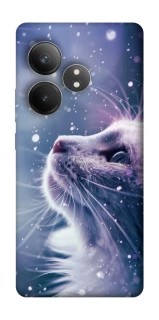 Чехол на Realme GT Neo 6 Snow cat фото 1 из 1